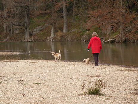 Walking dogs by River