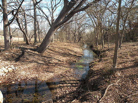 Buttermilk Creek at Gault site